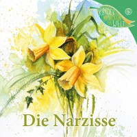 Die Narzisse